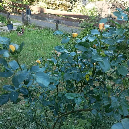 Golf-lodge * Stromberg (Hunsrueck)